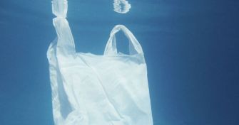 Mikroplastik: Schädlich für Gewässer und ihre Bewohner – und auch für den Menschen? | apomio Gesundheitsblog