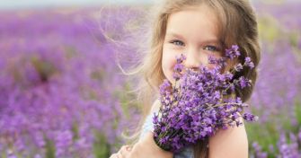 Mehr als nur Entspannung: Lavendel | apomio Gesundheitsblog