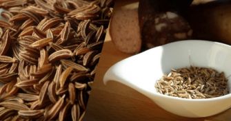Kümmel - Ein Gewürz mit großer Wirkung | apomio Gesundheitsblog