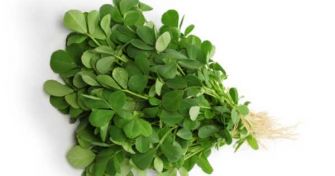 Das Potenzmittel für den Mann: Bockshornklee | apomio Gesundheitsblog