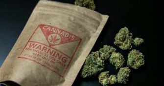 Cannabis: Droge oder Schmerzmittel? | apomio Gesundheitsblog