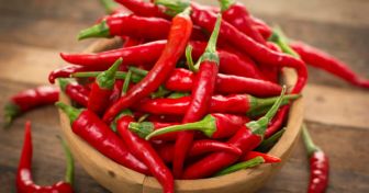 Chili - Some like it hot | apomio Gesundheitsblog