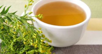 Für Niere und Blase - Die Goldrute | apomio Gesundheitsblog