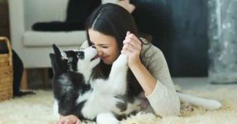 Infektionsrisiko Haustier: Welche Krankheiten können von Tieren übertragen werden? | apomio Gesundheitsblog