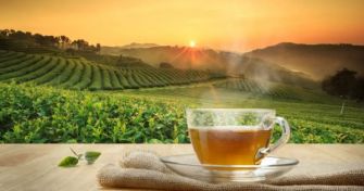 Flor Essence – der heilige Trank der Indianer | apomio Gesundheitsblog