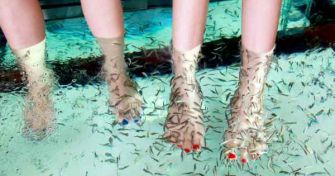 Maden, Knabberfische und Schweine-Peitschenwürmer – Was die Tierchen für Ihre Gesundheit tun können | apomio Gesundheitsblog