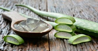Die Wirkung und Anwendung von Aloe Vera | apomio Gesundheitsblog
