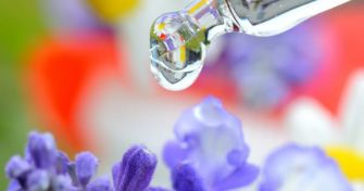 Bachblüten - sanfte Essenzen mit heilsamer Wirkung | apomio Gesundheitsblog