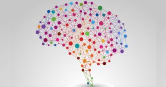 Strukturelle Veränderungen im Gehirn als Ursache für Borderline? | apomio Gesundheitsblog