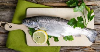 Abnehmen mit der Dukan-Diät: Ist das wirklich noch gesund? | apomio Gesundheitsblog