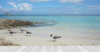 Gesund durch das Meer | apomio Gesundheitsblog