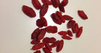 Goji Beere - Gesundheit und Wohlbefinden aus Fernost | apomio Gesundheitsblog