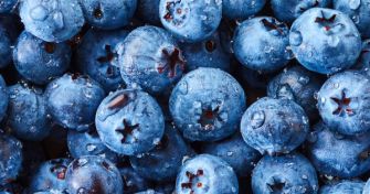 Klein aber oho: Die Heidelbeere | apomio Gesundheitsblog