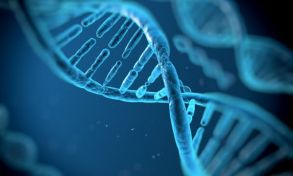 Die Huntington-Krankheit | apomio Gesundheitsblog