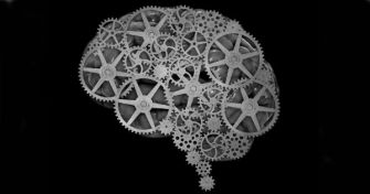 Wenn die Zahnrädchen nicht greifen: Leben mit Epilepsie | apomio Gesundheitsblog