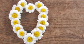 Mutterkraut: Migräne natürlich bekämpfen | apomio Gesundheitsblog