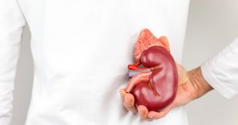 Der Unterschied zwischen akutem und chronischem Nierenversagen | apomio Gesundheitsblog