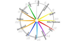 Im Rhythmus des Lebens: so tickt die chinesische Organuhr | apomio Gesundheitsblog