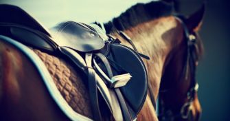 Das Glück der Erde: So gesund ist das Reiten | apomio Gesundheitsblog