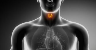 Außer Rand und Band: Die Schilddrüsenüberfunktion | apomio Gesundheitsblog