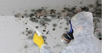 Schimmel in der Wohnung - Ursachen und was kann ich dagegen tun | apomio Gesundheitsblog