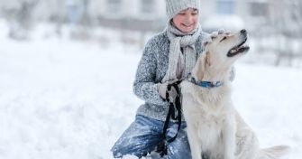 Achtung: Winter für Vierbeiner - Pfoten schützen | apomio Gesundheitsblog