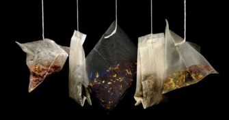 Teesorten und ihre Wirkung | apomio Gesundheitsblog