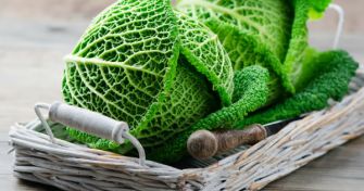 Regional und Jahreszeitenunabhängig: der Wirsing | apomio Gesundheitsblog