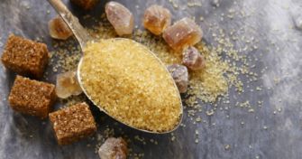 Zuckeralternativen im Überblick | apomio Gesundheitsblog