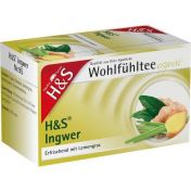 H&S Ingwer