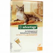 Advantage 40 Katze bis 4 kg Einzeldosierpipetten vet.