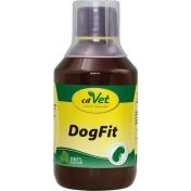DogFit