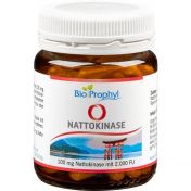 Nattokinase