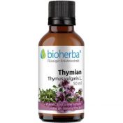 Thymian