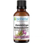 Kleinblütiges Weidenröschen