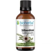 SILBERDISTEL Carlina acaulis L.