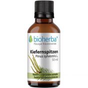 KIEFERNSPITZEN Pinus sylvestris L.