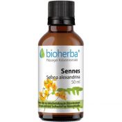 SENNES Senna alexandrina