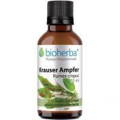 KRAUSER AMPFER Rumex crispus