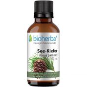 SEE-KIEFER Pinus pinaster