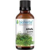 ALFALFA Luzerne