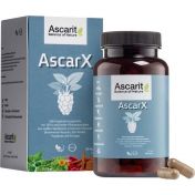 MAULBEEREN DIABETES KOMPL ASCARX KPS