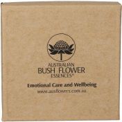 Petite Focus Pendant AUB