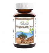 Weihrauch Vita (Boswellia Serrata) Monatsvorrat - 120g im Gl
