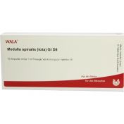 MEDULLA SPINA (TOT) GL D 8