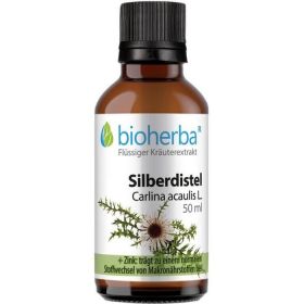 SILBERDISTEL Carlina acaulis L. günstig im Preisvergleich