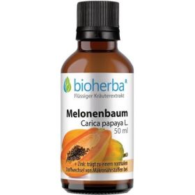 MELONENBAUM Carica papaya L. günstig im Preisvergleich