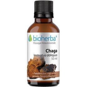 CHAGA Inonotus obliquus günstig im Preisvergleich