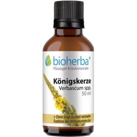 KÖNIGSKERZE Verbascum spp. günstig im Preisvergleich
