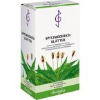 Spitzwegerichblätter im Preisvergleich